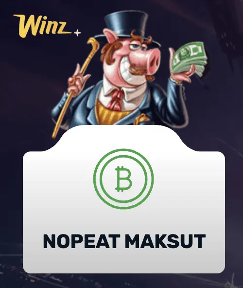 winz casino maksu